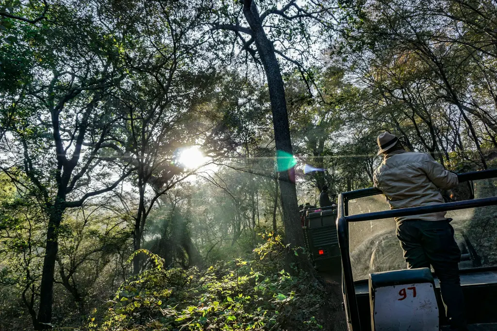 unsplash_IInKuczFbfc_Ranthambore.jpg.jpg.jpg.jpg.webp