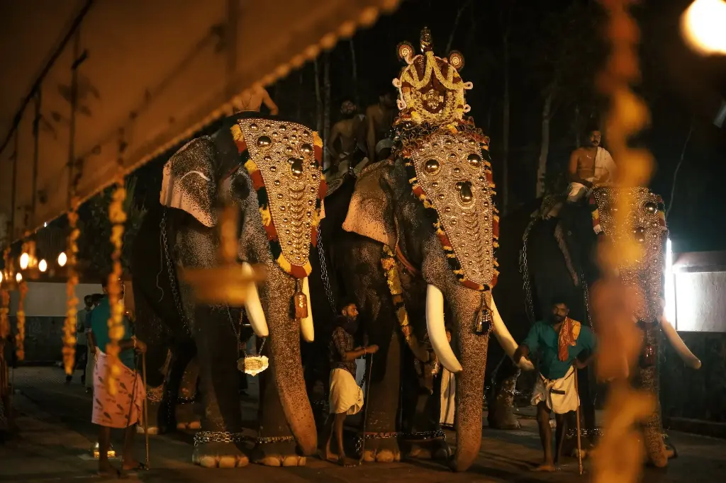 unsplash_0tuzOfs-T3s_kerala.jpg.jpg.jpg.jpg.jpg.webp