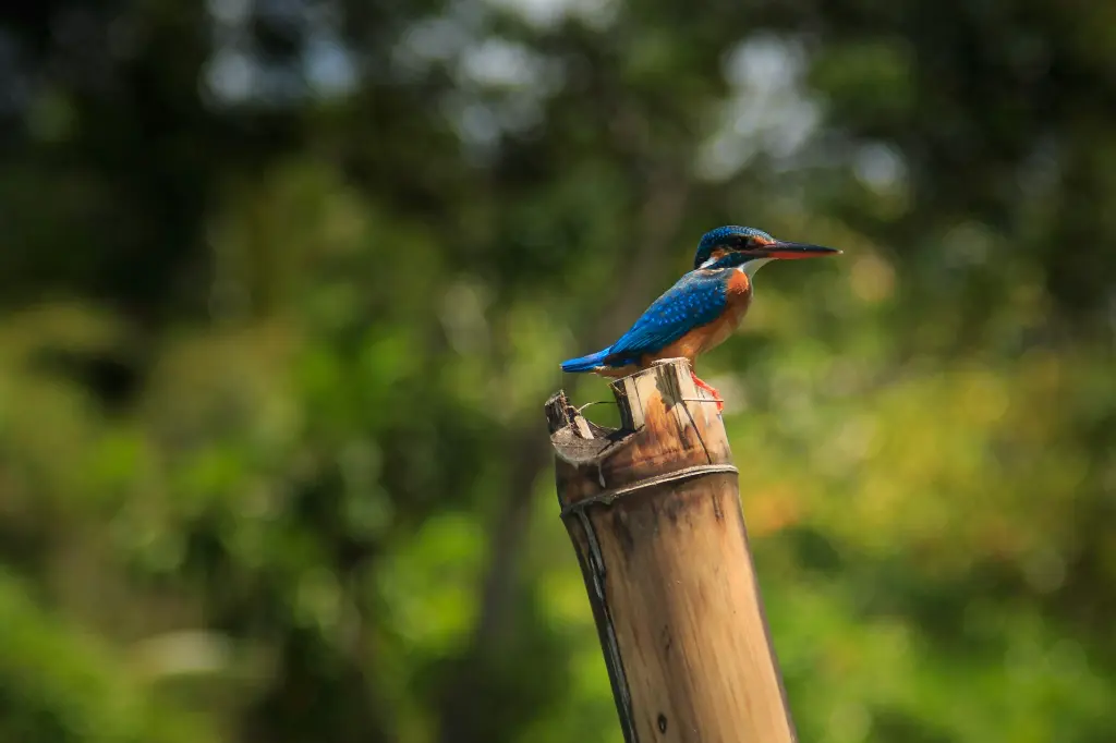unsplash_MUBXyIxkZ3I_kerala.jpg.jpg.jpg.jpg.jpg.jpg.jpg.jpg.jpg.jpg.jpg.jpg.webp
