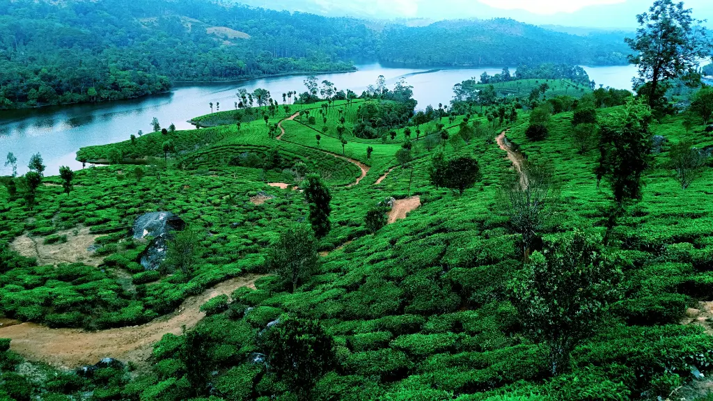 unsplash_x-1MZu3-cak_kerala.jpg.jpg.jpg.jpg.webp