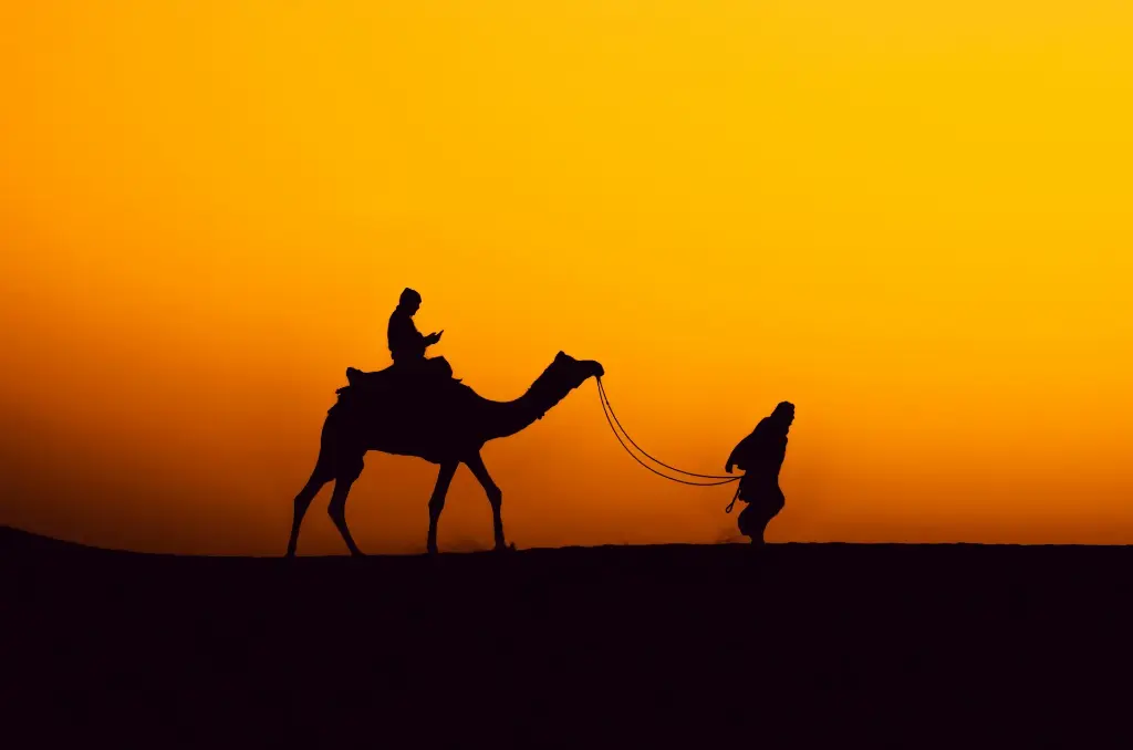 Rajasthan Trip (Jaipur+Jodhpur+Udaipur)  05 Nights 06 days (07 March 2026)