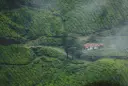 Beautiful Kerala For 11N/12