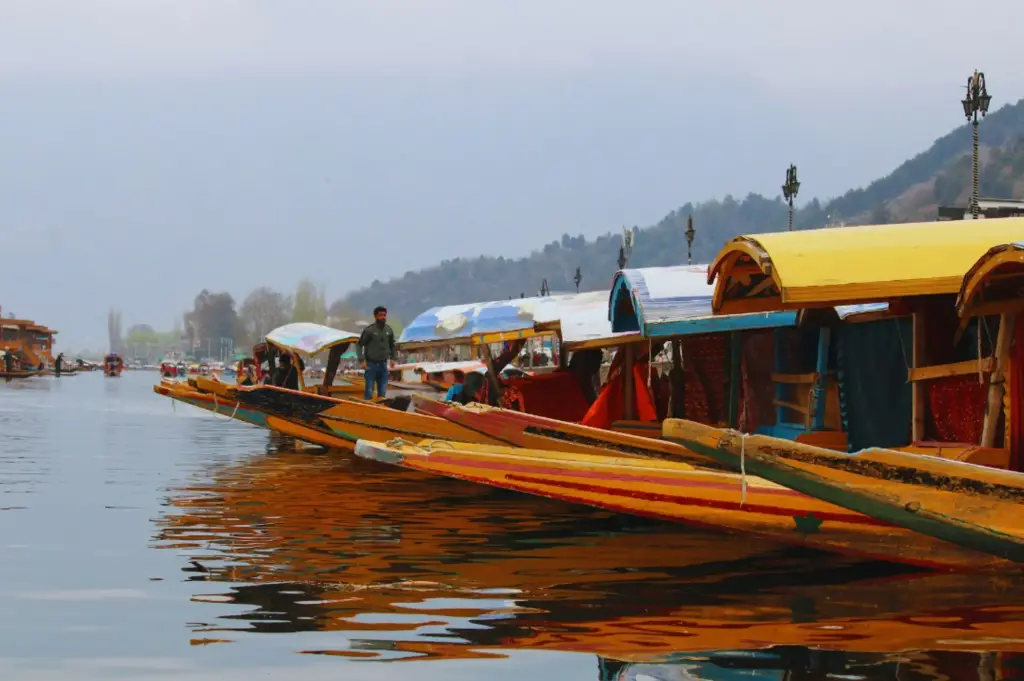 Magical Kashmir Without Flight 6 Nights 7 Days