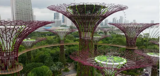 Amazing  Singapore 5Night/6Days