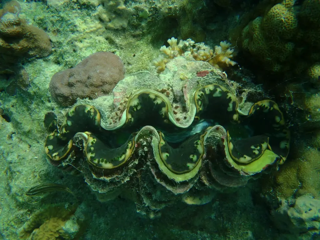 Lakshadweep Trip
