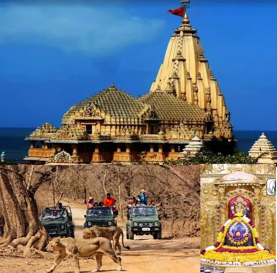 Gujrat Tours 5Night/6Days GOD-129