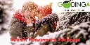 Honeymoon Manali by Volvo Package Ex. Delhi GOD-107