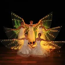 LED WING DANCERS