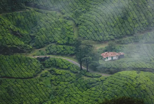 Beautiful Kerala For 11N/12