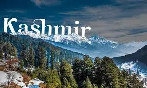 Kashmir Paradise