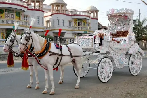 Baggi / Ghodi
