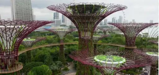 Amazing  Singapore 5Night/6Days