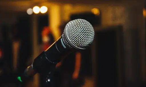 Mic