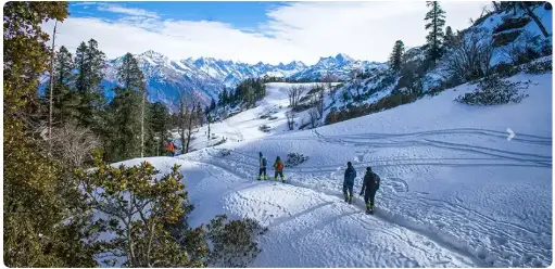 [Create by Aman Gupta] Best of Dalhousie Dharamsala 5Night 6Days GOD-125