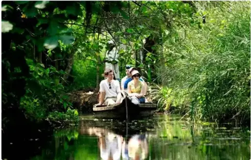 Beautiful Kerala 4Night/5Days GOD-126