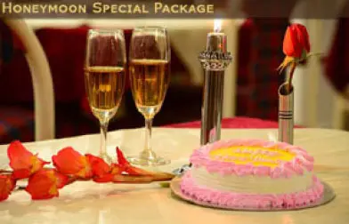 [Candle Light Dinner, Flower decoration, Cake] Honey moon Inclusions price