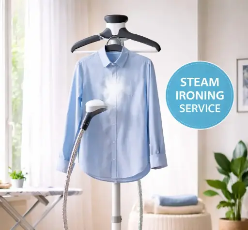 Steam Iron Service